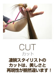 カット